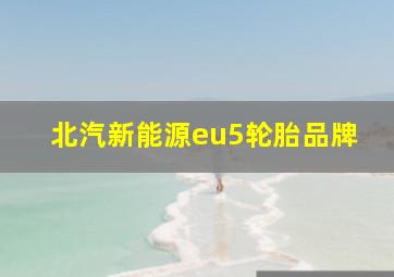 北汽新能源eu5轮胎品牌