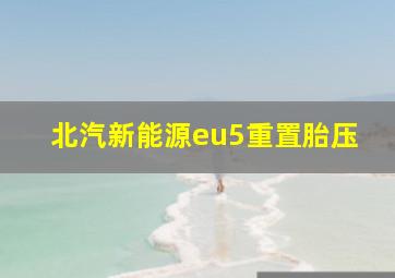 北汽新能源eu5重置胎压