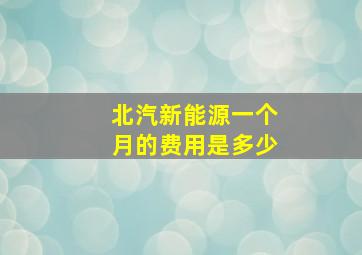 北汽新能源一个月的费用是多少