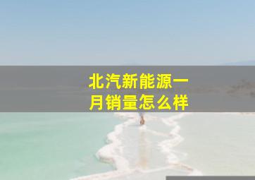 北汽新能源一月销量怎么样