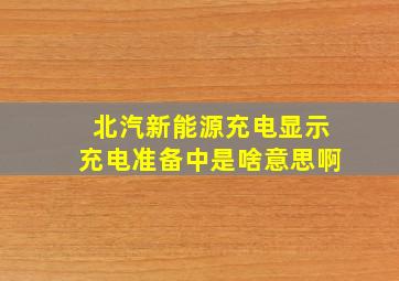 北汽新能源充电显示充电准备中是啥意思啊