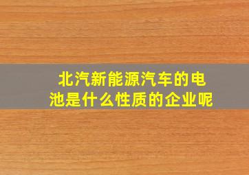 北汽新能源汽车的电池是什么性质的企业呢