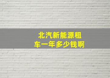 北汽新能源租车一年多少钱啊