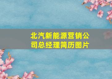 北汽新能源营销公司总经理简历图片