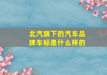 北汽旗下的汽车品牌车标是什么样的