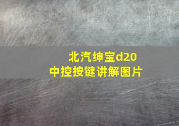 北汽绅宝d20中控按键讲解图片