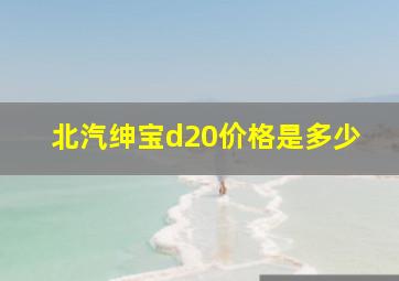 北汽绅宝d20价格是多少