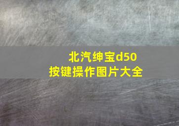 北汽绅宝d50按键操作图片大全