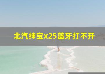 北汽绅宝x25蓝牙打不开