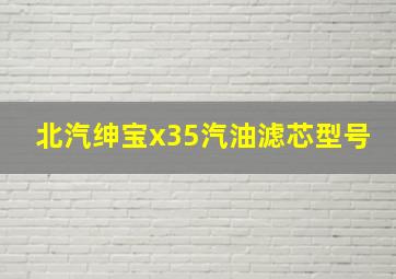 北汽绅宝x35汽油滤芯型号