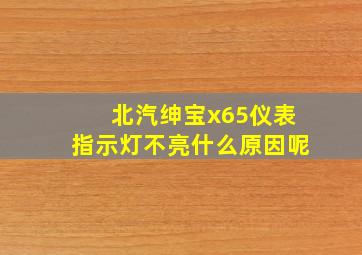 北汽绅宝x65仪表指示灯不亮什么原因呢