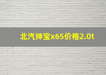 北汽绅宝x65价格2.0t