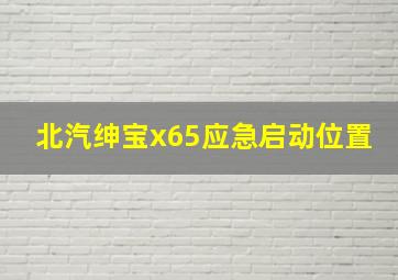 北汽绅宝x65应急启动位置