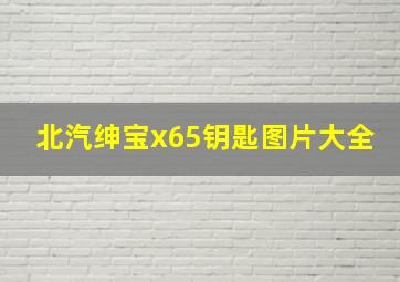 北汽绅宝x65钥匙图片大全