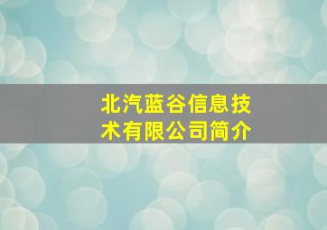 北汽蓝谷信息技术有限公司简介