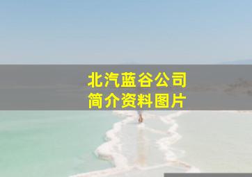 北汽蓝谷公司简介资料图片