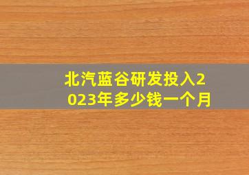 北汽蓝谷研发投入2023年多少钱一个月