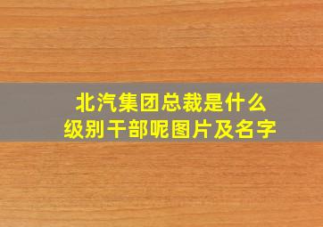 北汽集团总裁是什么级别干部呢图片及名字