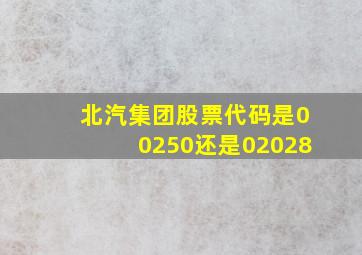 北汽集团股票代码是00250还是02028