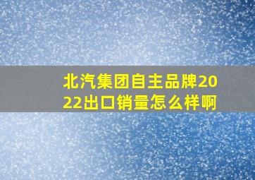 北汽集团自主品牌2022出口销量怎么样啊