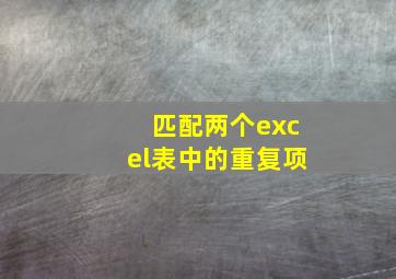 匹配两个excel表中的重复项