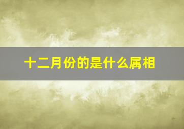 十二月份的是什么属相