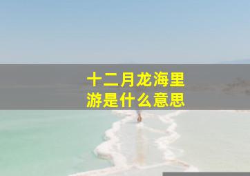 十二月龙海里游是什么意思