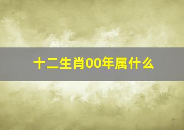 十二生肖00年属什么