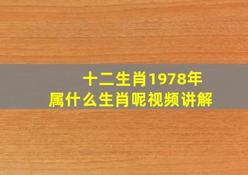 十二生肖1978年属什么生肖呢视频讲解