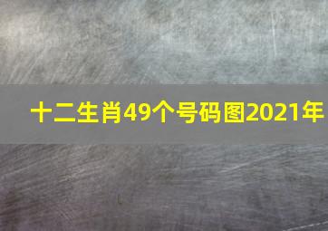 十二生肖49个号码图2021年