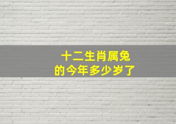 十二生肖属兔的今年多少岁了