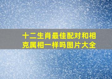 十二生肖最佳配对和相克属相一样吗图片大全