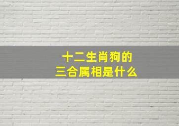 十二生肖狗的三合属相是什么