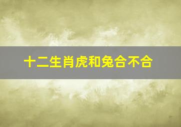 十二生肖虎和兔合不合