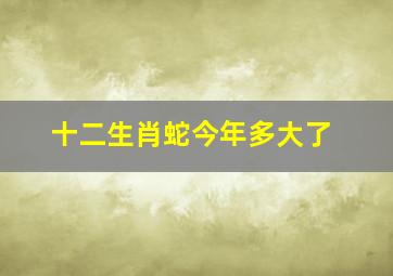 十二生肖蛇今年多大了