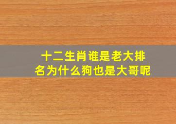 十二生肖谁是老大排名为什么狗也是大哥呢