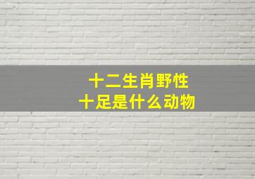 十二生肖野性十足是什么动物