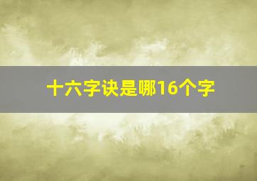 十六字诀是哪16个字