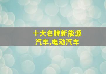 十大名牌新能源汽车,电动汽车