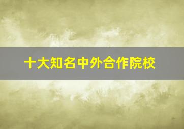 十大知名中外合作院校