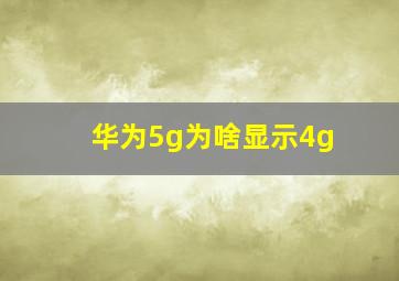 华为5g为啥显示4g