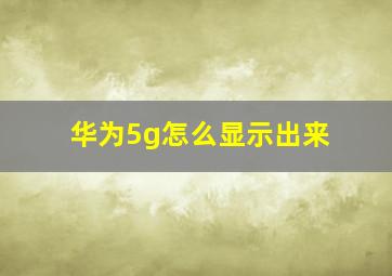 华为5g怎么显示出来