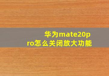 华为mate20pro怎么关闭放大功能