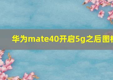 华为mate40开启5g之后图标