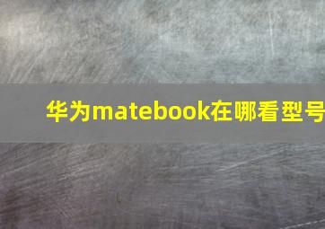 华为matebook在哪看型号