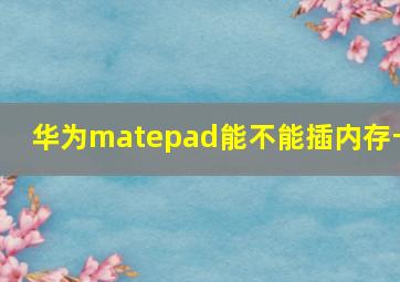 华为matepad能不能插内存卡