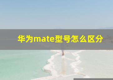 华为mate型号怎么区分