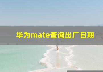 华为mate查询出厂日期