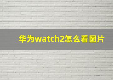 华为watch2怎么看图片