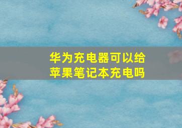 华为充电器可以给苹果笔记本充电吗